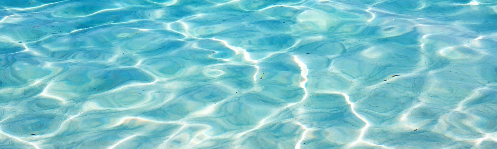 Banner-onderkant-water